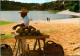 17-3-2024 (3 Y 21) Brazil - Coconut Seller On Salvador Beach - Shopkeepers