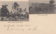 Tonga/Toga: 1900 Post Card Lifuka To New Zealand - Tonga (1970-...)