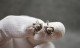 Vintage Silver Earrings - Boucles D'oreilles