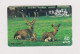 JAPAN -   Deer Magnetic Phonecard - Japan