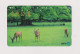 JAPAN -   Deer Magnetic Phonecard - Japon
