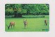 JAPAN -   Deer Magnetic Phonecard - Japan