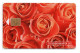 Rose Roses Fleurs Fleur Flower Télécarte Puce Russie Phonecard ( K 51) - Russland