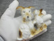 Vintage Porcelain Figurine Of A Dog With A Puppy - Gzel (RUS)