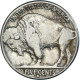 Monnaie, États-Unis, 5 Cents, 1935 - 1913-1938: Buffalo