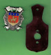 INSIGNE EMAIL GRAND FEU VILLE DE COGNAC CHARENTE SAPEUR POMPIER SAPEURS POMPIERS - Firemen