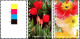 Australie Poste N** Yv:1349/1351 Timbres De Voeux Fleurs - Mint Stamps