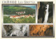 # 34220 ST PONS DE THOMIERES / MULTIVUES - GROTTES De COURNIOU (lot De 3 CP) - Saint-Pons-de-Thomières