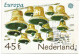 Semaine Nationale De La Santé 1981.  EUROPA (Cloches)  2 Photos Recto-verso - Brieven En Documenten