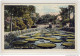 LILY POND, Como Park, St. Paul , Minn - St Paul