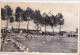 Postkaart - Carte Postale - Tienen - Viandra Plage (C5475) - Tienen