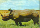 CP Publicitaire Ionyl Kenya Rhinocéros YT Kenya Uganda Tanganyika N°90 91 Elisabeth II CAD Mombasa 20 6 1957 - Kenya, Oeganda & Tanganyika