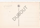 Postkaart - Carte Postale - Tienen - Kuikenmarkt (C5488) - Tienen