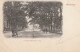 489257Hilversum,  S'Gravelandsche Weg. (Poststempel 1903)  - Hilversum
