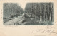 4892325Hilversum, Op Heideweg Lage Vuursche. (Poststempel 1900)  - Hilversum