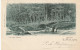 4892329Hilversum, Weg Lage Vuursche. (Poststempel 1900)  - Hilversum