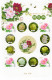 China Personalized Stamp  MS MNH,Heze Peony, Nine Major Color Series, Alien,9 Pcs - Neufs