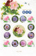 Delcampe - China Personalized Stamp  MS MNH,Heze Peony, Nine Major Color Series, Alien,9 Pcs - Neufs