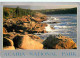 Etats Unis - Maine - Acadia National Park - CPM - Voir Scans Recto-Verso - Andere & Zonder Classificatie
