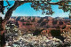 Etats Unis - Grand Canyon - Grand Canyon National Park - CPM - Voir Scans Recto-Verso - Gran Cañon