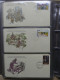 Delcampe - Europa Motiv "Great World Of Stamps" FDC #LX937 - Collections (en Albums)