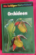 Karl Peter BUTTLER : Orchideen - Collection "guides Nature Colorés" - Botanik