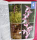 Delcampe - Karl Peter BUTTLER : Orchideen - Collection "guides Nature Colorés" - Nature