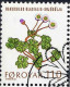 Feroe Poste Obl Yv: 42/46 Plantes Sauvages (TB Cachet Rond) (Thème) - Färöer Inseln