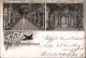 Ansichtskarte Chiemsee Schloss: Saal, Flur 1897 - Chiemgauer Alpen