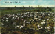 Postcard .Namibia Deutsch-Südwestafrika DSWA Farm Kolonie 1909 - Namibie