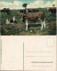 Postcard .Namibia Farmidyll Deutsch-Südwestafrika DSWA Kolonie 1908 - Namibië