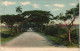 Postcard Kuba Allgemein Güines Road 1911 - Cuba
