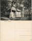 Ansichtskarte Auerbach (Bergstraße)-Bensheim Erimitage Im Wald 1912 - Bensheim