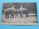 EXPOSITION COLONIALE - Les ELEPHANTS De L'INDE ( Edit. ?) Anno 19?? ( Voir SCANS ) ! - Éléphants