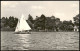Ansichtskarte Teupitz Teupitzsee, Segelboot 1966 - Teupitz