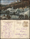 Stellingen-Hamburg Carl Hagenbeck's Tierpark Nordland - Panorama 1917 - Stellingen