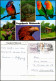 Ansichtskarte Walsrode Vogelpark Mehrbildkarte Mit 6 Foto-Ansichten 1996 - Walsrode