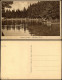 Ansichtskarte Altenau-Clausthal-Zellerfeld Kurbad 1916 - Altenau