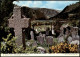 Postcard Wicklow Cill Mhantáin St. Kevin's Cross, Glendalough 1981 - Other & Unclassified