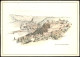 Sankt Goar Panorama-Ansicht Mit Der Ruine Rheinfels (Künstlerkarte) 1958 - St. Goar