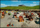 Ansichtskarte Langeoog Strandkörbe, Strandleben Und Restaurant 1978 - Langeoog