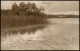 Foto Liezēre Latvia Seerosen Auf Dem See 1936 Foto - Latvia