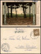 Ansichtskarte Worpswede Birken Waldesrand - Künstlerkarte 1900 - Worpswede