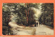 37328 / ⭐ APELDOORN Gelderland Amersfoortsche Weg 1913 à REINODON 13 Villa Deshayes Paris NAUTA Velsen 16620 Nederland - Apeldoorn