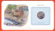 38004 / ⭐ NEW-ZEALAND 20 Cents ELISABETH II BROWN KIWI Nouvelle-Zelande Monnaies Oiseaux Monde Bird Coins World - Neuseeland