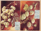 38405 / ⭐ Rare Lot X2 Illustration THLR Raisin + Fruits à Coque 1903 à GAYREL Chez LARIGUIER Réalmont -B.K.W.I 757-1 , 2 - Árboles