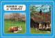 ANIMAUX & FAUNE - Vaches - Vachement Bien En Normandie - Normandie Pittoresque - Carte Postale Ancienne - Vaches