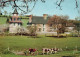 ANIMAUX & FAUNE - Vaches - Les Manoirs Normands - Manoir Du Bais - Carte Postale Ancienne - Vacas