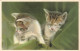 ANIMAUX & FAUNE - Chats - Deux Petits Chatons En Train De Dormir - Carte Postale Ancienne - Gatos