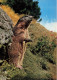 ANIMAUX & FAUNE - Marmotte - Murmeltier - Marmot - Une Marmotte Debout - Carte Postale Ancienne - Other & Unclassified